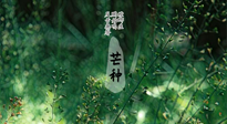 【二十四節(jié)氣灸】芒種節(jié)氣，培土補(bǔ)脾、養(yǎng)陰生津！艾灸這些穴位事半功倍！