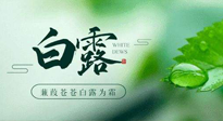 【二十四節(jié)氣灸】白露涼爽，養(yǎng)心肝脾胃、滋陰潤肺是關(guān)鍵！