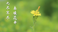 【九九養(yǎng)生】三月四日“九九日”，寒冬已過。春天養(yǎng)好身，全年不怕??！