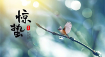 【二十四節(jié)氣灸】驚蟄節(jié)氣，艾灸喚醒抵抗力、補(bǔ)充陽(yáng)氣的最好時(shí)機(jī)！