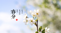 【二十四節(jié)氣灸】春分，平分了大地晝夜；艾灸，平衡了身體陰陽(yáng)！