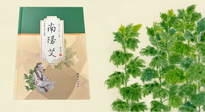 【行業(yè)資訊】國(guó)內(nèi)首部艾草專著《南陽(yáng)艾》，在南陽(yáng)新書首發(fā)！